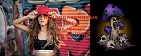 ГАЛЛЮЦИНОГЕННЫЕ ГРИБЫ Алексеевка