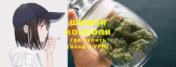 ГАЛЛЮЦИНОГЕННЫЕ ГРИБЫ Алексеевка