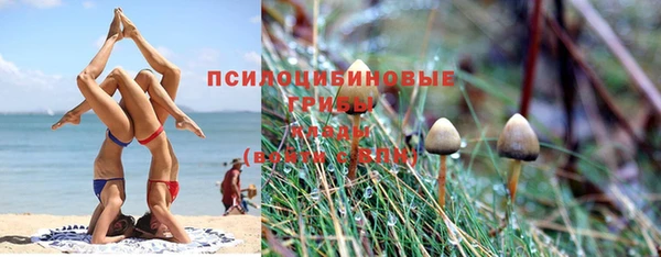 соль ск Алексин