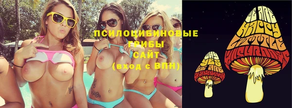 ГАЛЛЮЦИНОГЕННЫЕ ГРИБЫ Алексеевка