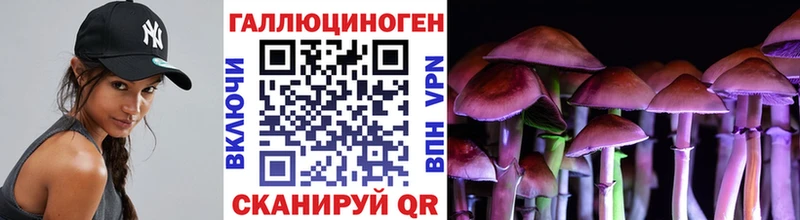 Галлюциногенные грибы GOLDEN TEACHER  Анжеро-Судженск 