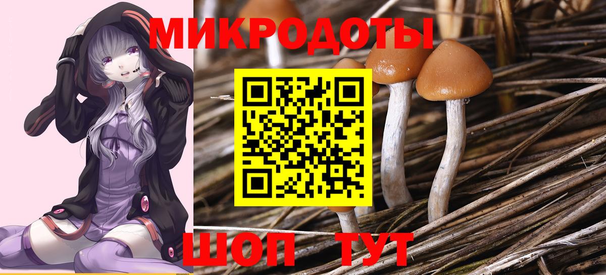 Псилоцибиновые грибы мухоморы  Вход с VPN  Псилоцибиновые грибы MAGIC MUSHROOMS  Анжеро-Судженск 