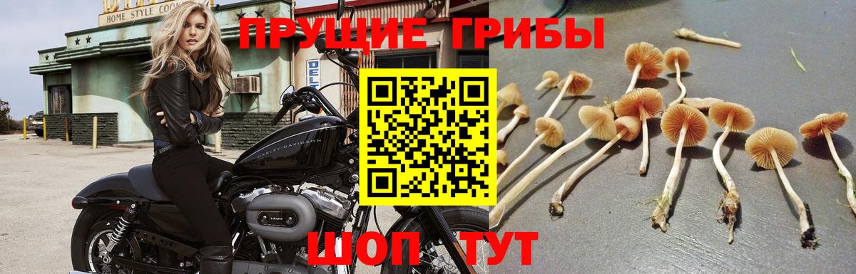 Галлюциногенные грибы MAGIC MUSHROOMS Анжеро-Судженск