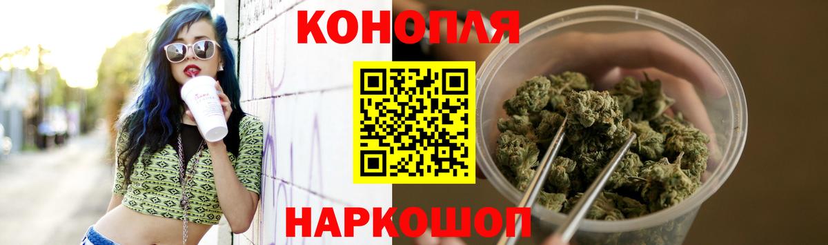 Канабис сатива Анжеро-Судженск